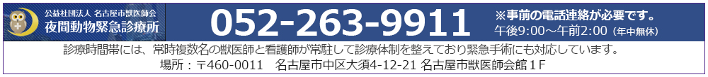 夜間動物緊急診療所